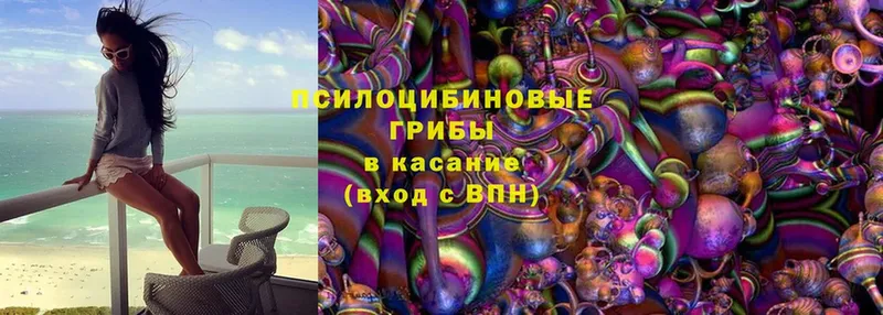 Псилоцибиновые грибы Magic Shrooms  Кизляр 